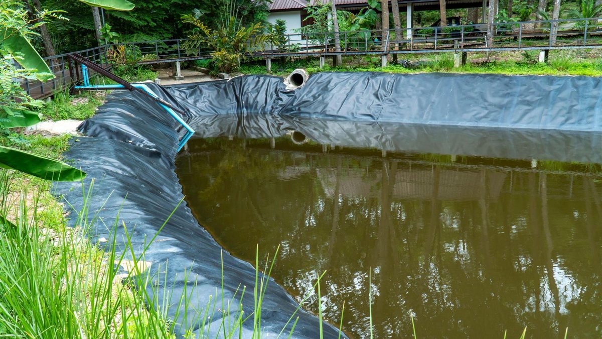 Lona para viveiro de tilápia: PEAD, espessura e o custo por metro quadrado que decide o resaque